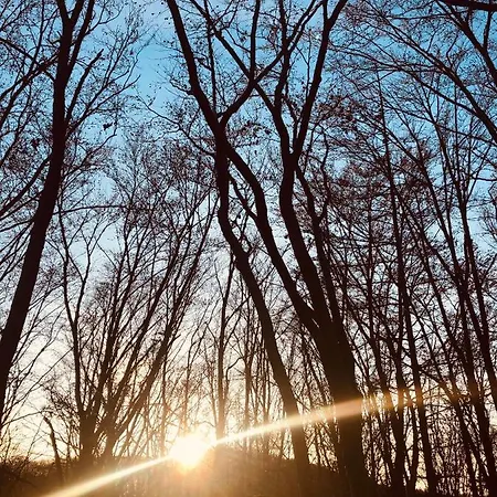 Appartamento Koerber